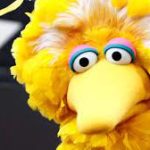 Big Bird